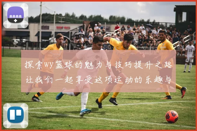 探索wy篮球的魅力与技巧提升之路让我们一起享受这项运动的乐趣与挑战