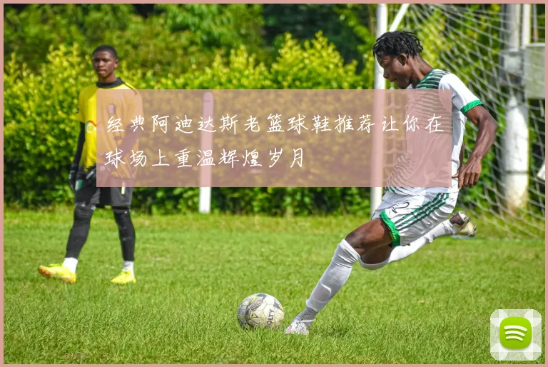 经典阿迪达斯老篮球鞋推荐让你在球场上重温辉煌岁月