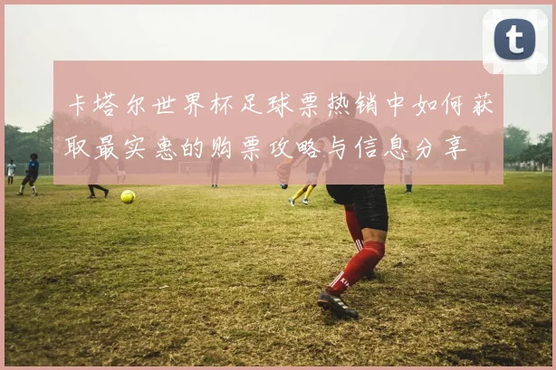 卡塔尔世界杯足球票热销中如何获取最实惠的购票攻略与信息分享